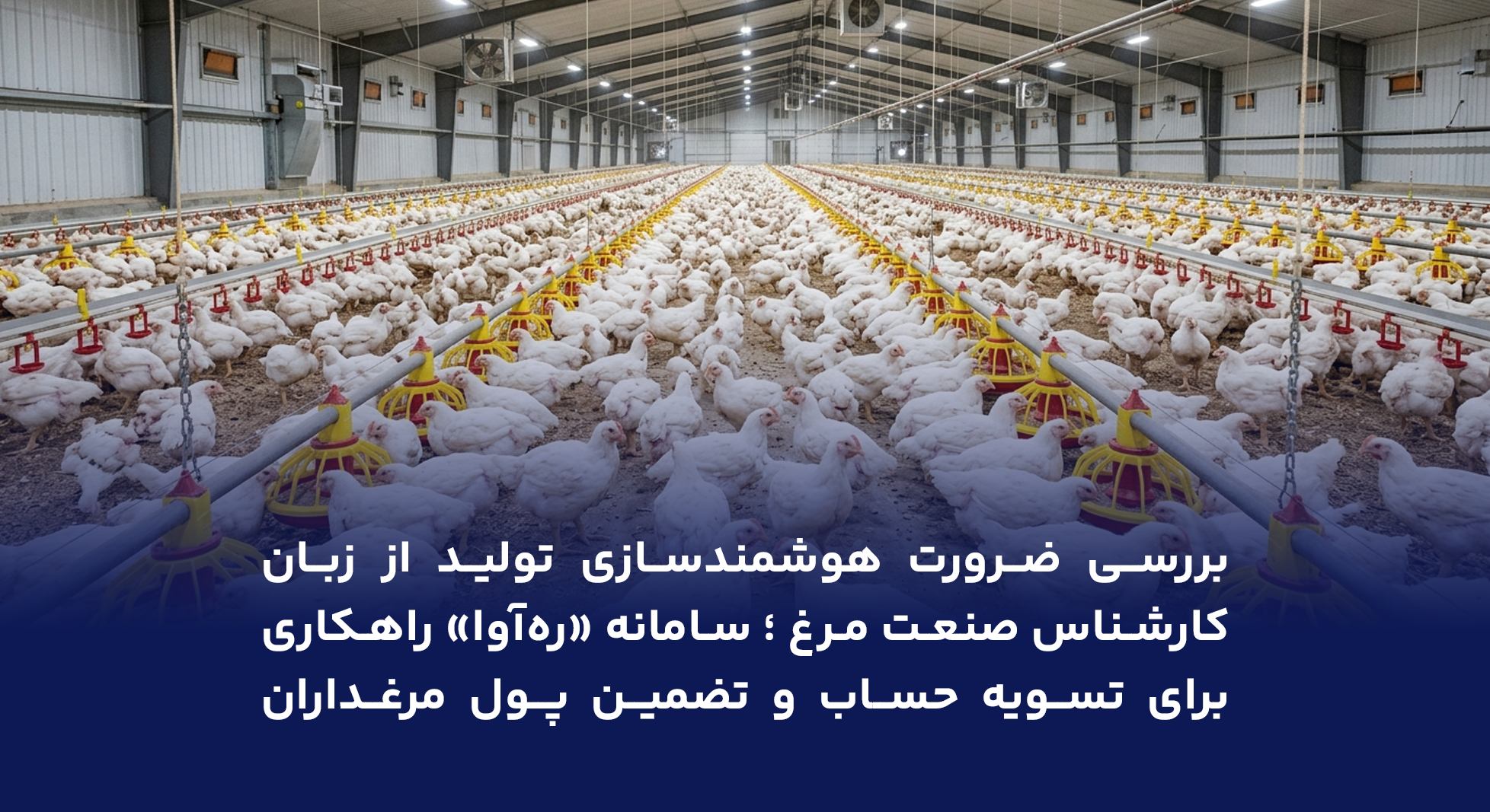 بررسی ضرورت هوشمندسازی تولید مرغ گوشتی با سامانه ره‌آوا از زبان کارشناس صنعت