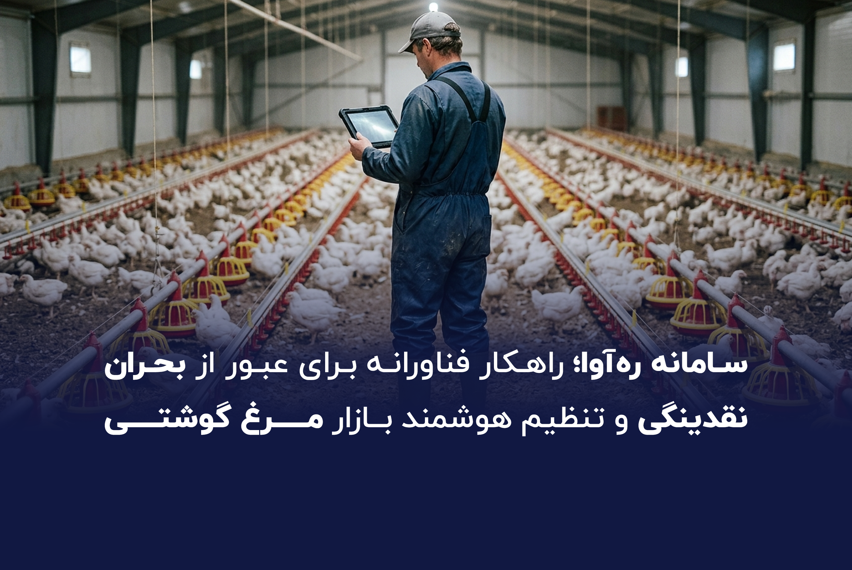 سامانه ره‌آوا؛ راهکار فناورانه برای عبور از بحران نقدینگی و تنظیم‌ هوشمند بازار مرغ گوشتی