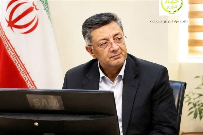 رئیس سازمان جهاد کشاورزی ایلام: رهآوا امکان رصد کامل زنجیره مرغ را فراهم میکند